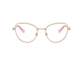 Swarovski SK 1022 4014 54 Women glasses