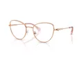 Swarovski SK 1022 4014 54 Women glasses