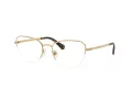 Swarovski SK 1023 4004 54 Women glasses