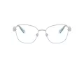 Swarovski SK 1025 401A 54 Women glasses