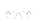 Swarovski SK 1025 403M 54 Women glasses