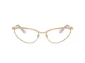 Swarovski SK 1027 4017 59 Women glasses