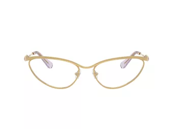 Swarovski SK 1027 4017 59 Women glasses