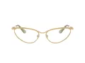 Swarovski SK 1027 4036 59 Women glasses