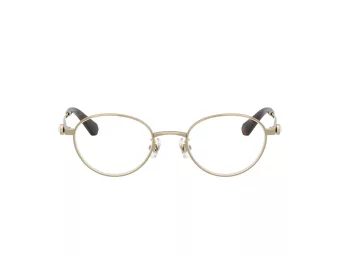 Swarovski SK 1028TD 4013 47 Women glasses