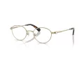 Swarovski SK 1028TD 4013 47 Women glasses