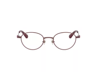 Swarovski SK 1028TD 4040 47 Women glasses
