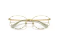 Swarovski SK 1029D 4017 54 Women glasses