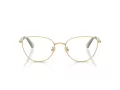 Swarovski SK 1029D 4017 54 Women glasses