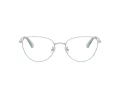 Swarovski SK 1029D 4020 54 Women glasses