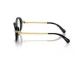 Swarovski SK 2001 1001 50 Women glasses