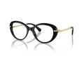 Swarovski SK 2001 1001 50 Women glasses