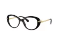 Swarovski SK 2001 1001 52 Women glasses