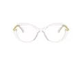 Swarovski SK 2001 1027 50 Women glasses
