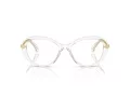 Swarovski SK 2001 1027 50 Women glasses