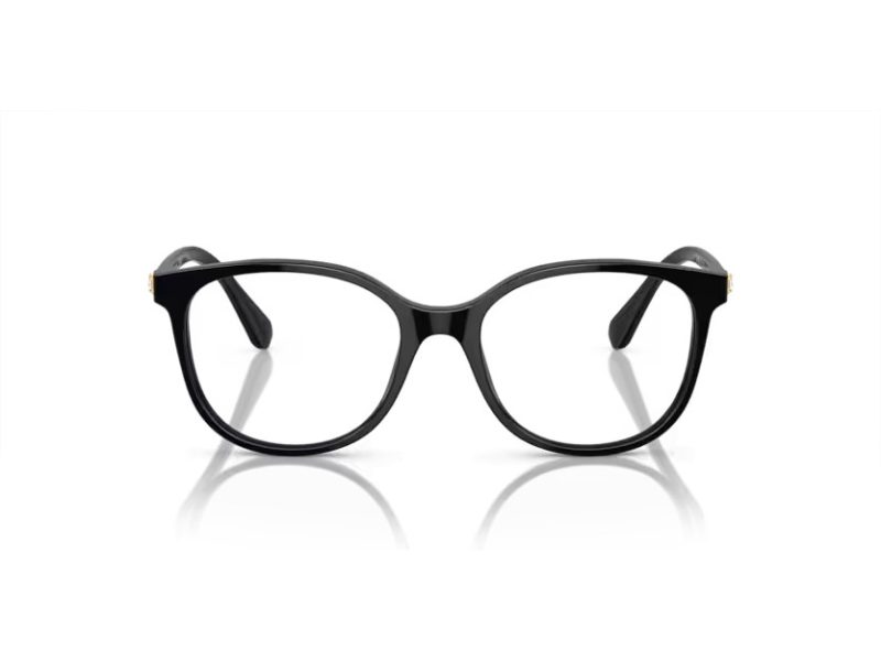 Swarovski SK 2002 1001 51 Women glasses