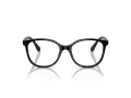 Swarovski SK 2002 1001 53 Women glasses