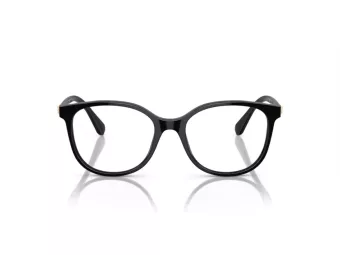 Swarovski SK 2002 1001 53 Women glasses