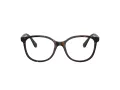 Swarovski SK 2002 1002 51 Women glasses