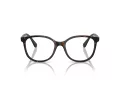 Swarovski SK 2002 1002 51 Women glasses