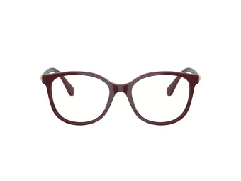 Swarovski SK 2002 1008 53 Women glasses