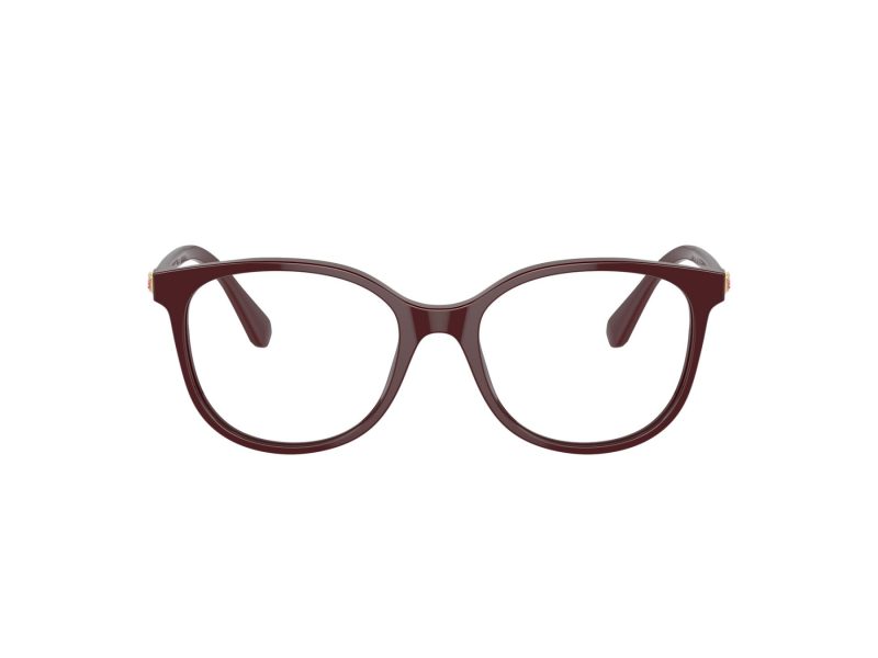 Swarovski SK 2002 1008 53 Women glasses