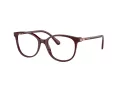 Swarovski SK 2002 1008 53 Women glasses