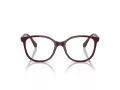 Swarovski SK 2002 1008 53 Women glasses