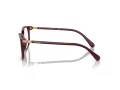 Swarovski SK 2002 1008 53 Women glasses