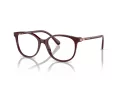 Swarovski SK 2002 1008 53 Women glasses