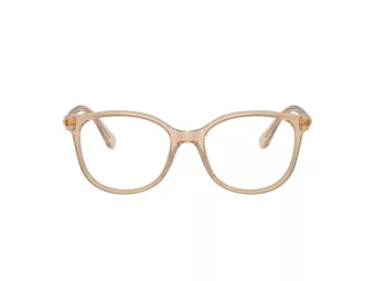 Swarovski SK 2002 1034 51 Women glasses