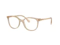 Swarovski SK 2002 1034 51 Women glasses