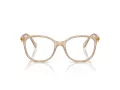 Swarovski SK 2002 1034 51 Women glasses