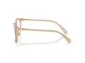 Swarovski SK 2002 1034 51 Women glasses