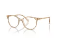 Swarovski SK 2002 1034 51 Women glasses