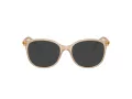 Swarovski SK 2002 1034 51 Women glasses