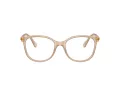 Swarovski SK 2002 1034 53 Women glasses