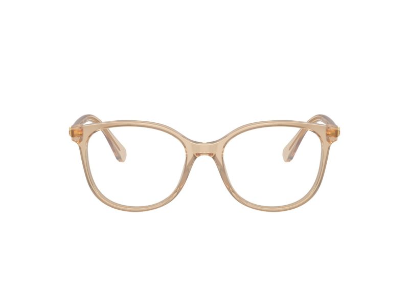 Swarovski SK 2002 1034 53 Women glasses