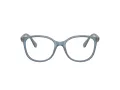 Swarovski SK 2002 1035 51 Women glasses