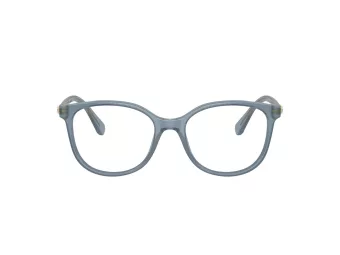 Swarovski SK 2002 1035 51 Women glasses