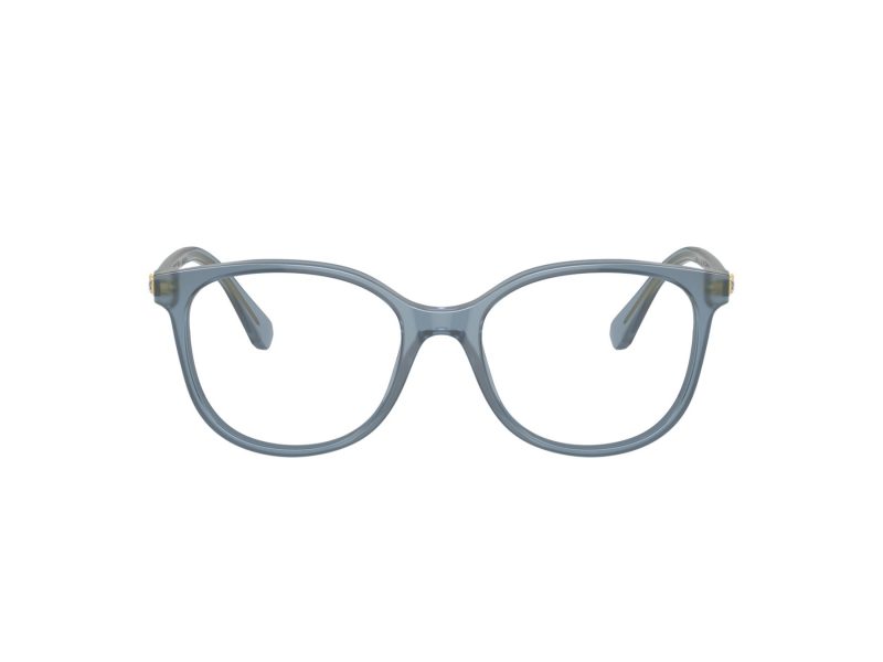 Swarovski SK 2002 1035 51 Women glasses