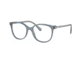 Swarovski SK 2002 1035 51 Women glasses