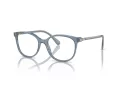 Swarovski SK 2002 1035 51 Women glasses