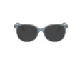 Swarovski SK 2002 1035 53 Women glasses
