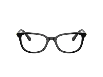 Swarovski SK 2003 1001 52 Women glasses