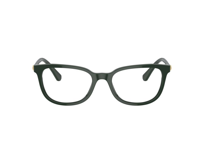 Swarovski SK 2003 1026 52 Women glasses