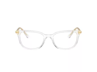 Swarovski SK 2003 1027 52 Women glasses