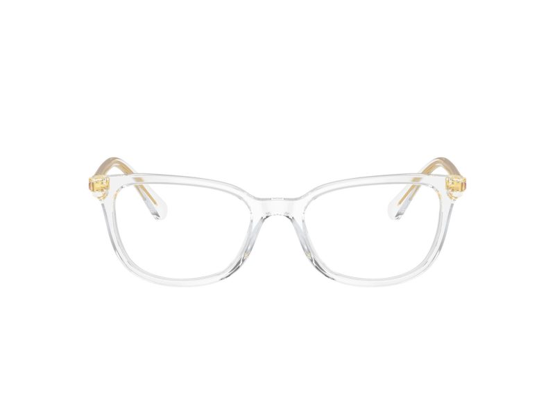 Swarovski SK 2003 1027 52 Women glasses