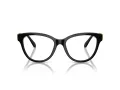Swarovski SK 2004 1001 52 Women glasses