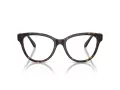 Swarovski SK 2004 1002 54 Women glasses
